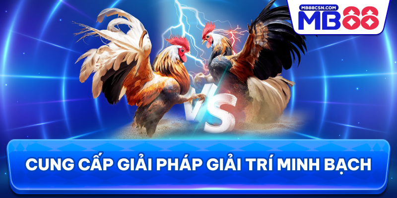 Cung cấp giải pháp giải trí minh bạch