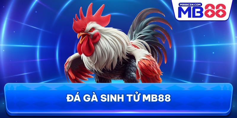 Đá gà sinh tử MB88
