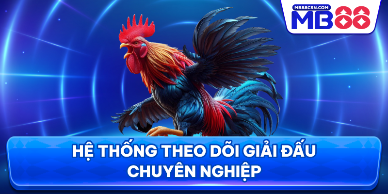 Hệ thống theo dõi giải đấu chuyên nghiệp