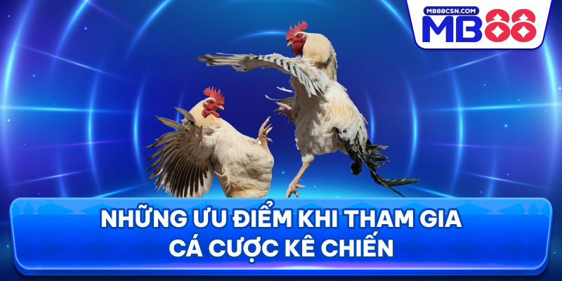 Những ưu điểm khi tham gia cá cược kê chiến