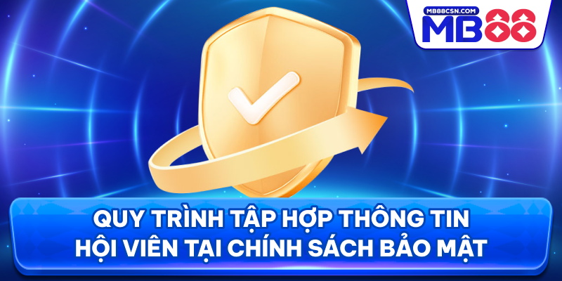 Quy trình tập hợp thông tin hội viên tại chính sách bảo mật