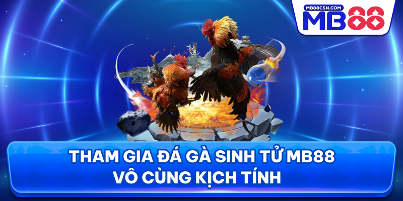 Tham gia đá gà sinh tử MB88 vô cùng kịch tính